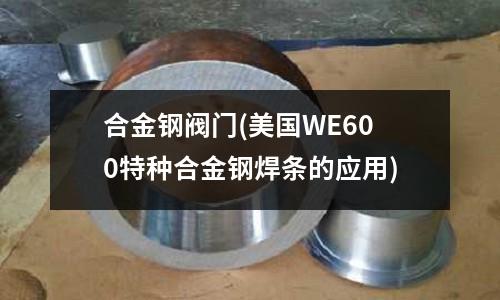 合金钢阀门(美国WE600特种合金钢焊条的应用)