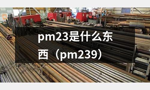 pm23是什么东西(pm239)