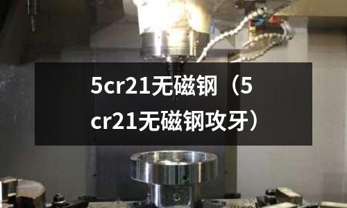5cr21无磁钢(5cr21无磁钢攻牙)