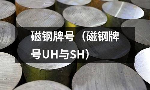磁钢牌号(磁钢牌号UH与SH)
