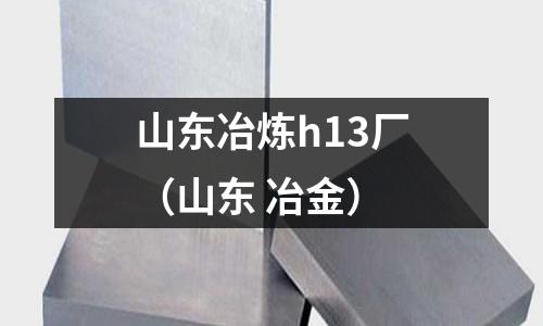 山东冶炼h13厂(山东 冶金)