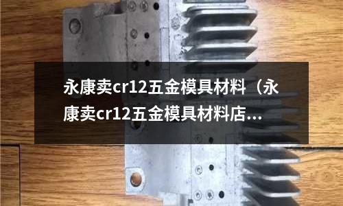 永康卖cr12五金模具材料(永康卖cr12五金模具材料店)