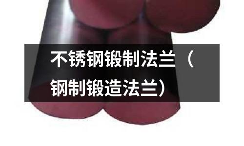 不锈钢锻制法兰(钢制锻造法兰)