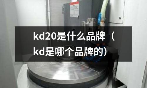 kd20是什么品牌(kd是哪个品牌的)