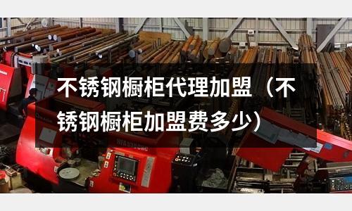 不锈钢橱柜代理加盟(不锈钢橱柜加盟费多少)