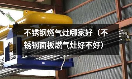 不锈钢燃气灶哪家好(不锈钢面板燃气灶好不好)