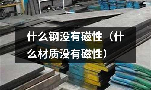 什么钢没有磁性(什么材质没有磁性)