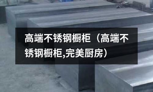 高端不锈钢橱柜(高端不锈钢橱柜,完美厨房)