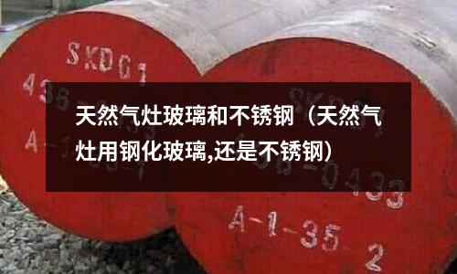 天然气灶玻璃和不锈钢(天然气灶用钢化玻璃,还是不锈钢)