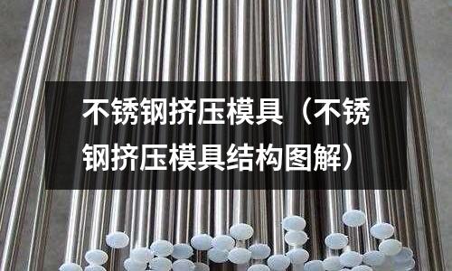 不锈钢挤压模具(不锈钢挤压模具结构图解)