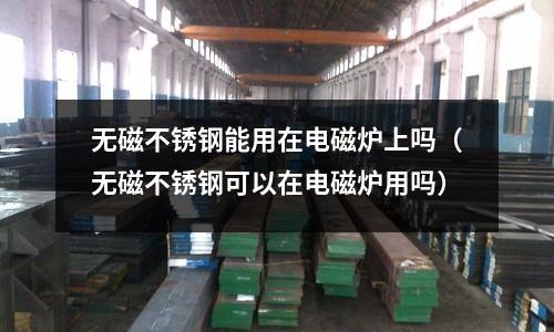 无磁不锈钢能用在电磁炉上吗(无磁不锈钢可以在电磁炉用吗)