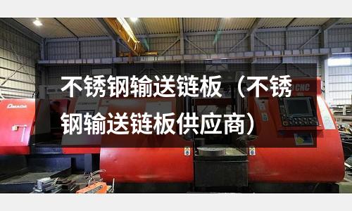 不锈钢输送链板(不锈钢输送链板供应商)