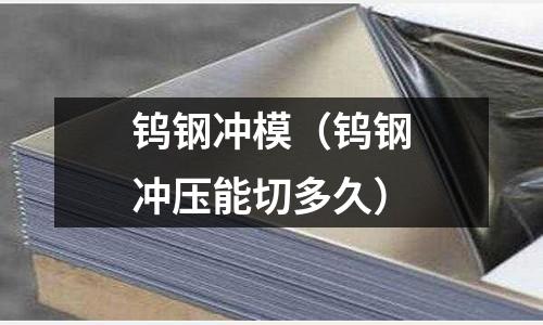 钨钢冲模(钨钢冲压能切多久)
