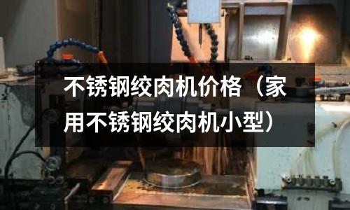 不锈钢绞肉机价格(家用不锈钢绞肉机小型)