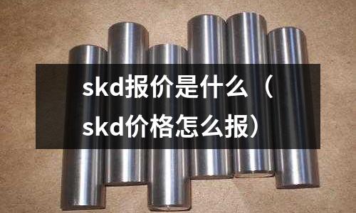 skd报价是什么(skd价格怎么报)
