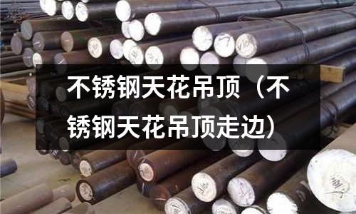 不锈钢天花吊顶(不锈钢天花吊顶走边)