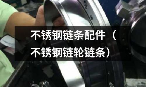 不锈钢链条配件(不锈钢链轮链条)