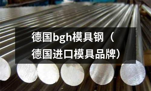 德国bgh模具钢(德国进口模具品牌)