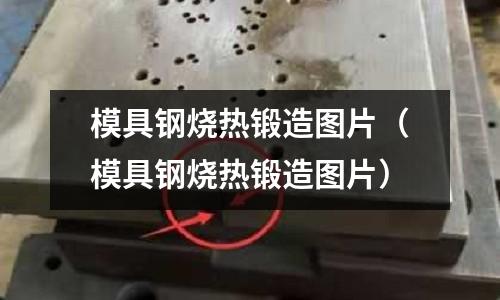 模具钢烧热锻造图片(模具钢烧热锻造图片)