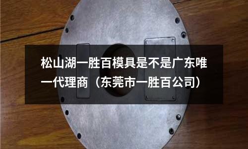 松山湖一胜百模具是不是广东唯一代理商(东莞市一胜百公司)