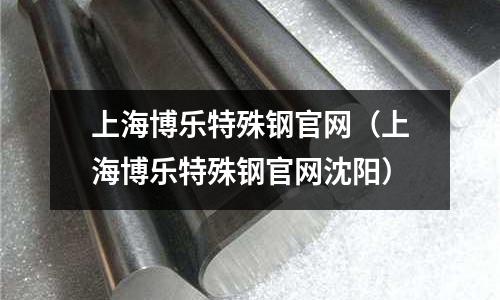 上海博乐特殊钢官网(上海博乐特殊钢官网沈阳)