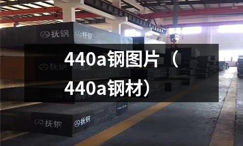 440a钢图片(440a钢材)