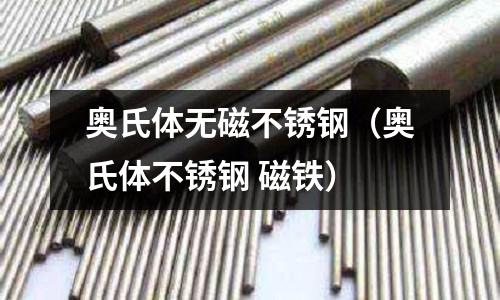 奥氏体无磁不锈钢(奥氏体不锈钢 磁铁)