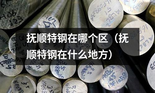 抚顺特钢在哪个区(抚顺特钢在什么地方)