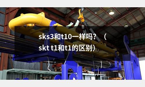 sks3和t10一样吗?(skt t1和t1的区别)