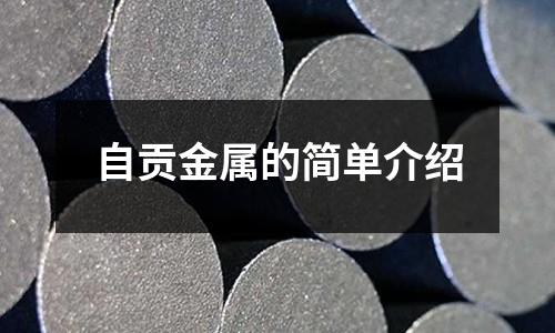 自贡金属的简单介绍