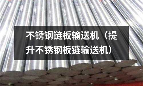 不锈钢链板输送机(提升不锈钢板链输送机)