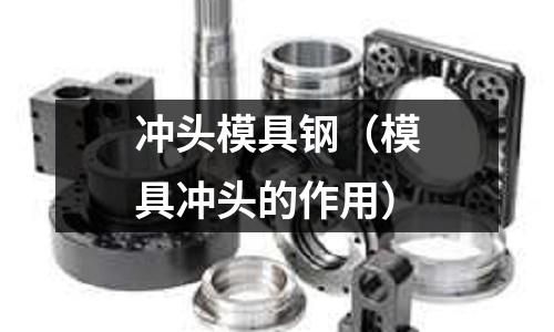 冲头模具钢(模具冲头的作用)