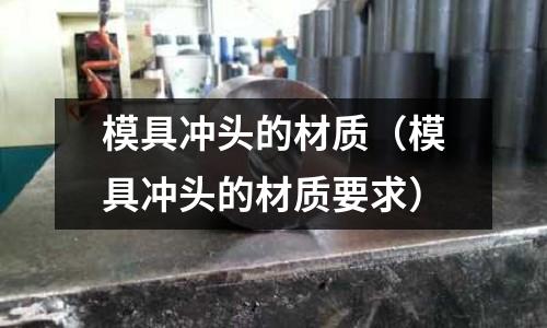 模具冲头的材质(模具冲头的材质要求)