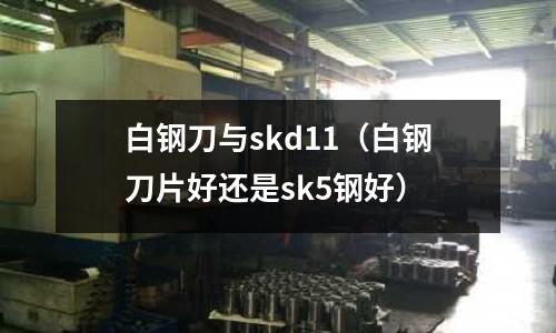 白钢刀与skd11(白钢刀片好还是sk5钢好)