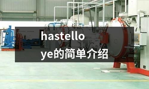 hastelloye的简单介绍