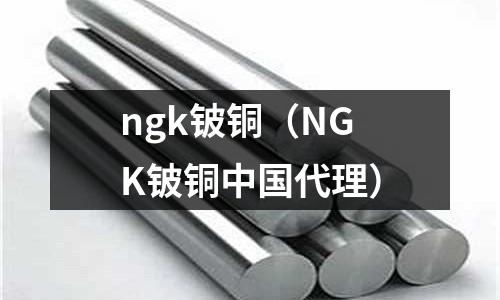 ngk铍铜(NGK铍铜中国代理)