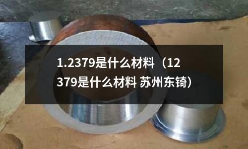 1.2379是什么材料(12379是什么材料 苏州东锜)