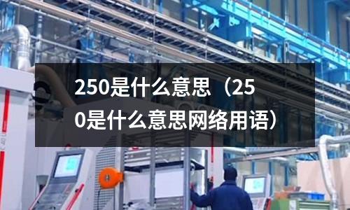 250是什么意思(250是什么意思网络用语)