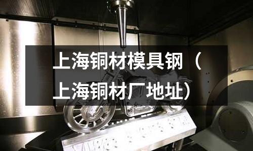 上海铜材模具钢(上海铜材厂地址)