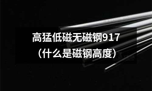 高猛低磁无磁钢917(什么是磁钢高度)