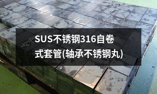 SUS不锈钢316自卷式套管(轴承不锈钢丸)