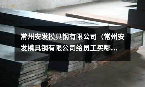 常州安发模具钢有限公司(常州安发模具钢有限公司给员工买哪家保险公司的保险)