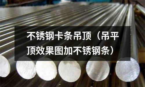 不锈钢卡条吊顶(吊平顶效果图加不锈钢条)