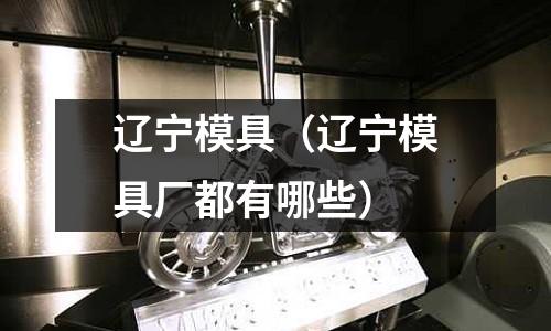 辽宁模具(辽宁模具厂都有哪些)