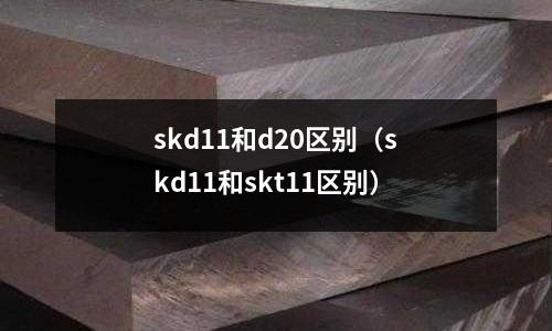 skd11和d20区别(skd11和skt11区别)