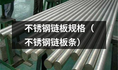 不锈钢链板规格(不锈钢链板条)