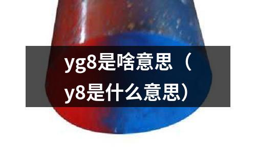 yg8是啥意思(y8是什么意思)