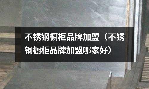 不锈钢橱柜品牌加盟(不锈钢橱柜品牌加盟哪家好)