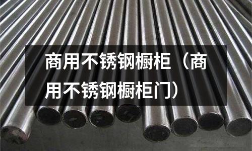 商用不锈钢橱柜(商用不锈钢橱柜门)