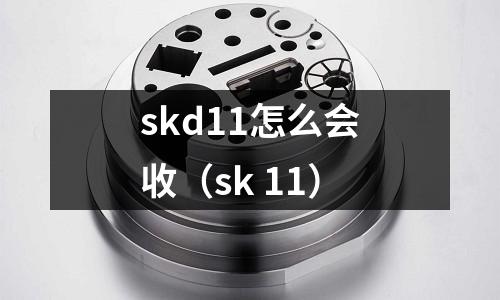 skd11怎么会收(sk 11)
